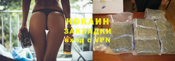 сатива Аркадак