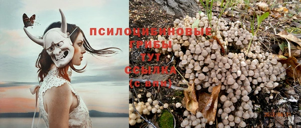 крисы Армянск