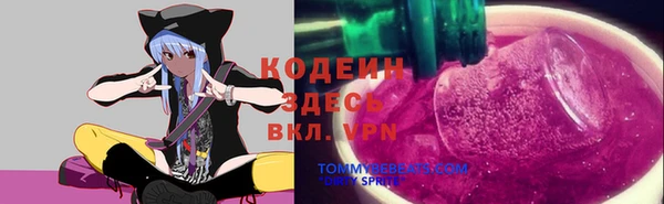 сатива Аркадак
