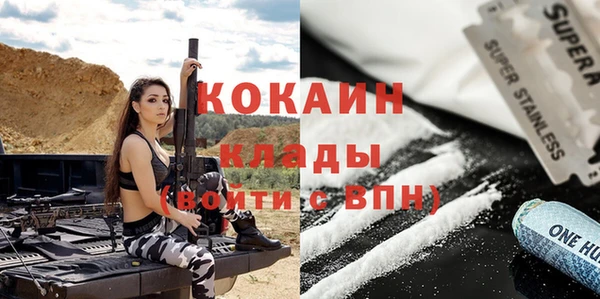 сатива Аркадак