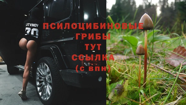 крисы Армянск