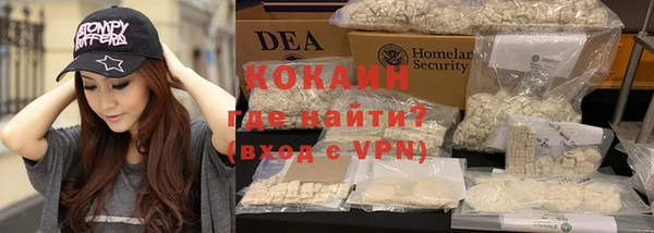 сатива Аркадак